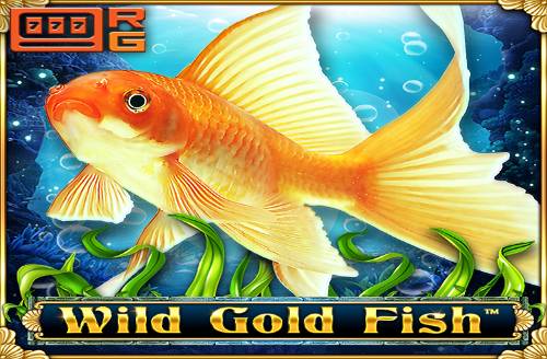 Wild Gold Fish
