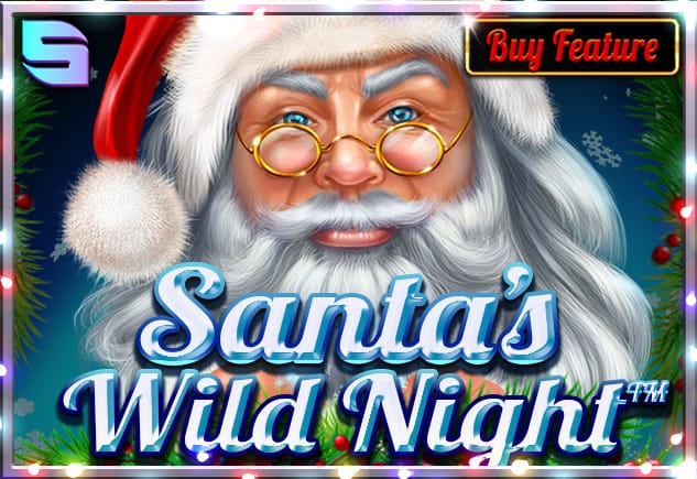 Santa's Wild Night